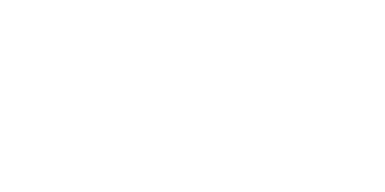 Solex Chaussures